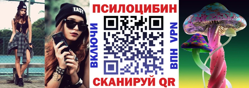 купить закладку  Альметьевск  Галлюциногенные грибы Cubensis 
